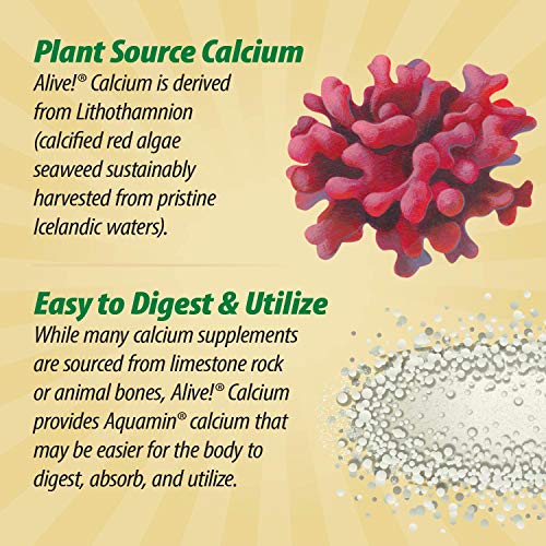 Nature's Way Alive! Vitamin D & K2 Supplement - Bone Support, Plant-Sourced Calcium - 120 Tablets