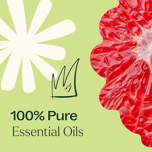 Plant Therapy Shield Me Essential Oil Blend - Natural Pest Barrier, KidSafe - 10 mL