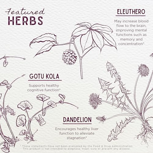 WishGarden Herbs Genius Juice - Herbal Brain Booster for Focus & Clarity, Non-GMO - 4oz