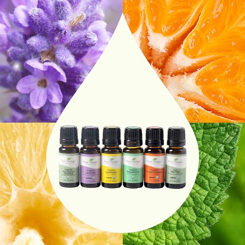 Plant Therapy Top 6 Organic Essential Oils Set - Therapeutic Blends for Wellness - 10 mL Each