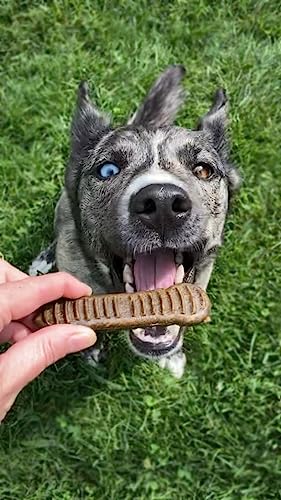 Jiminy's Dog Treat - Teeth Cleaning, Cinnamon Flavor, No Artificial Additives - 12ct