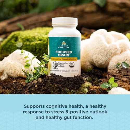 Ancient Nutrition Brain Supplement - Promotes Focus & Cognitive Health, Gluten Free - 90 Capsules