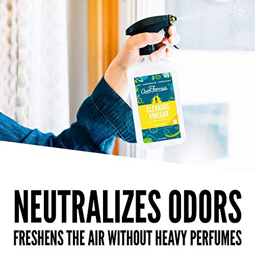 Aunt Fannie's Household Cleaner Bundle - Non-Toxic Vinegar Spray & Wipes, Lemon Scent - 35 Wipes