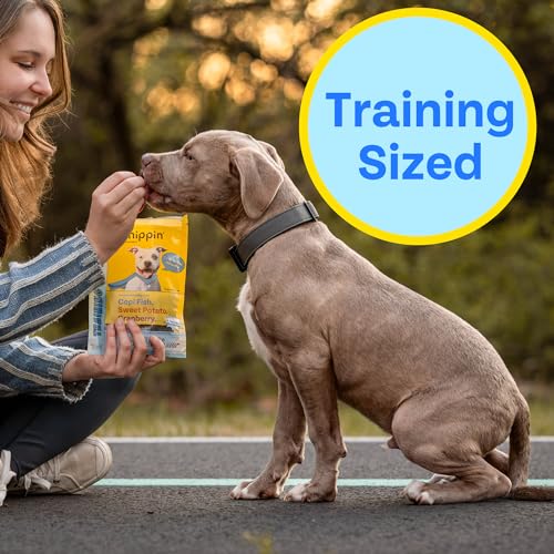 Chippin Fish & Sweet Potato Dog Treats - Low-Fat, Hypoallergenic, Grain-Free - 5oz