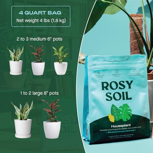 Rosy Soil Indoor Potting Soil - Boosts Plant Growth, Peat-Free, Biochar-Enriched - 4qt