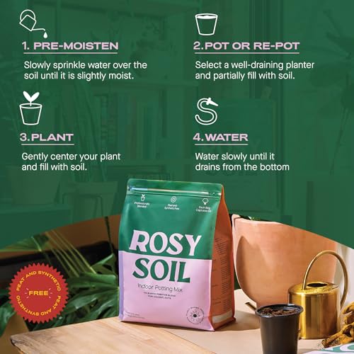 Rosy Soil Cactus & Succulent Mix - Thriving Growth, Microbial Support - 4qt & 8qt Sizes