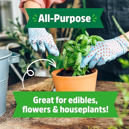 Back to the Roots Organic Potting Mix - Nutrient-Rich Soil for Herbs & Veggies - 6 Quarts