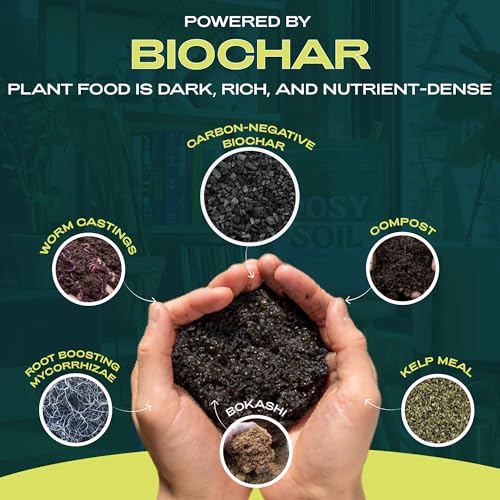 Rosy Soil Plant Food - Organic Nutrients for Healthy Growth, Biochar & Kelp - 2 Quarts