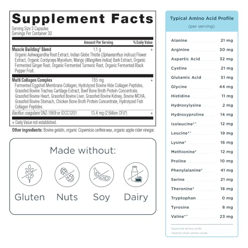 Ancient Nutrition Collagen Protein Powder - Muscle Support, Probiotics & Lean Body - 90 Count
