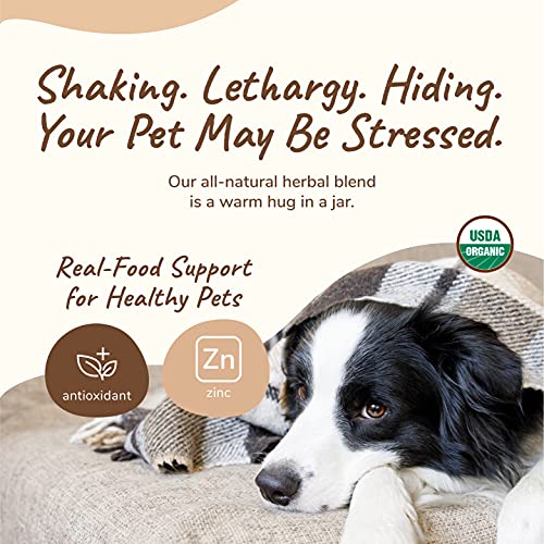 kin+kind Dog Supplement - Natural Calming Relief with Apple, Chamomile & Ginger - 90g