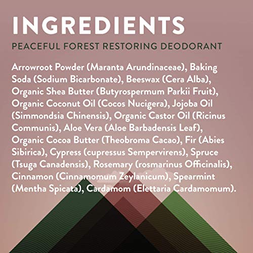 Little Moon Essentials Deodorant Stick - Natural Odor Protection, Aluminum Free, 2.5 oz.