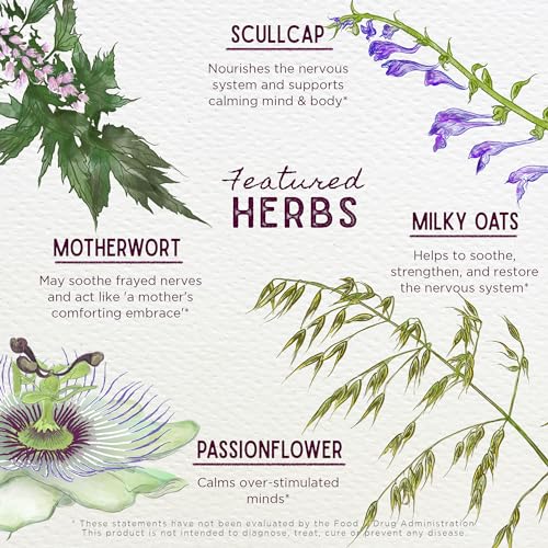 WishGarden Herbs Emotional Ally - Liquid Herbal Supplement for Stress Relief, 2oz