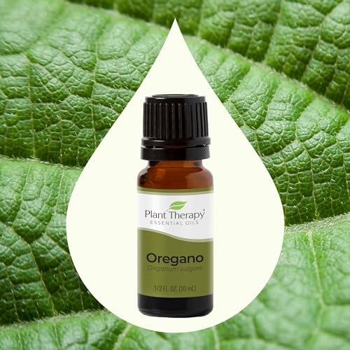 Plant Therapy Oregano Essential Oil - Immune Support, Trusted Quality, 100% Pure - 10 mL