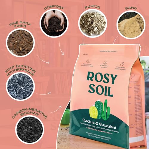 Rosy Soil Succulent & Cactus Potting Mix - Promotes Healthy Root Growth, 8 Quarts Total