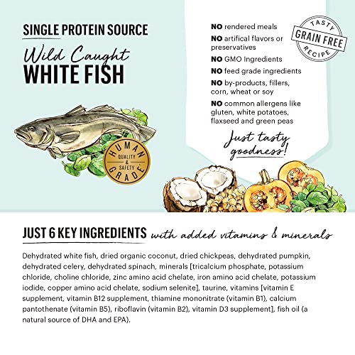 The Honest Kitchen Dehydrated Dog Food - Grain-Free, Limited Ingredients, Human Grade - Fish 10 lb