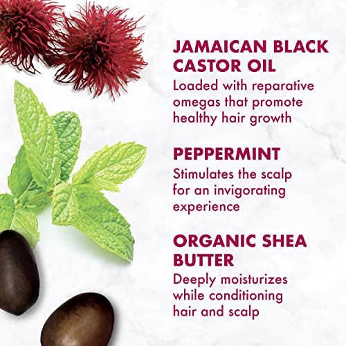 SheaMoisture Conditioner - Nourishes & Smooths Hair, Detangles & Controls Frizz - 13 oz