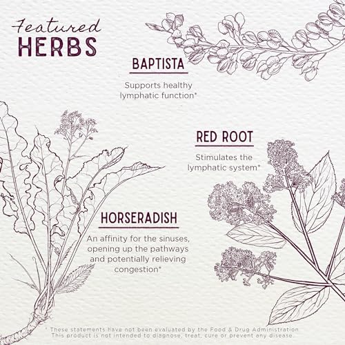 WishGarden Herbs Kick-Ass Sinus - Herbal Relief for Congestion & Pressure, Organic Ingredients - 2oz