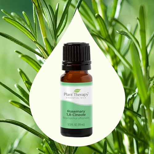 Plant Therapy Rosemary Essential Oil - Promotes Hair Growth, Cognitive Boost - 10 mL
