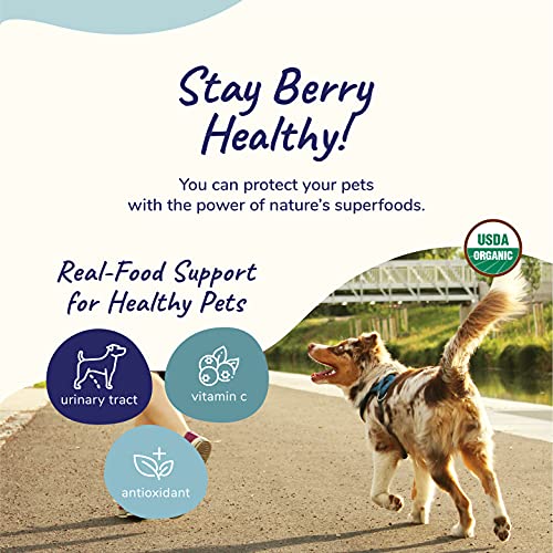 kin+kind Dog Supplement - Boosts Immunity & Bladder Health with Organic Ingredients - 4oz