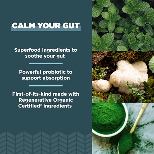 Ancient Nutrition Leaky Gut Capsules - Supports Gut Health, Organic Ingredients - 90 Count