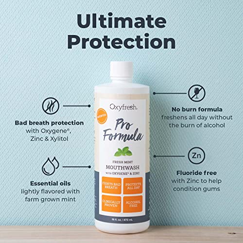 Oxyfresh Pro Formula Mouthwash - All-Day Fresh Breath & Healthy Gums, Alcohol-Free - 16oz