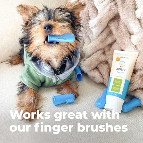 Oxyfresh Dog Toothpaste - Fresh Breath & Tartar Fighter, Vet-Formulated - 4oz