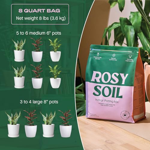 Rosy Soil Cactus & Succulent Mix - Thriving Growth, Microbial Support - 4qt & 8qt Sizes