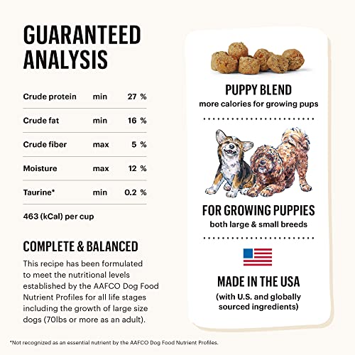 The Honest Kitchen Whole Food Clusters Dry Dog Food - Human Grade, High Protein, 4 lb