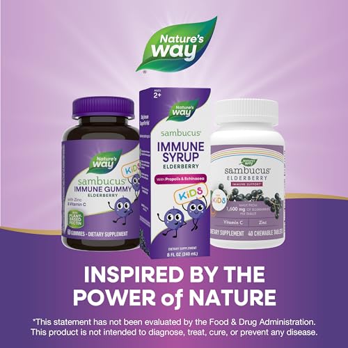 Nature's Way Elderberry Immune Syrup for Kids - Antioxidant Support, Vegetarian - 8 Fl Oz