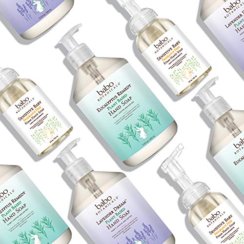 Babo Botanicals Eucalyptus Remedy Hand Soap - Moisturizing, Hypoallergenic & Vegan - 12oz