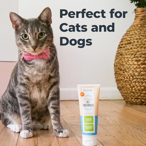 Oxyfresh Dog Toothpaste - Fresh Breath & Tartar Fighter, Vet-Formulated - 4oz