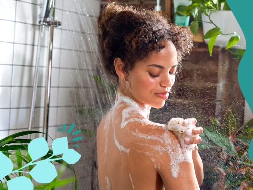 Babo Botanicals Eucalyptus Remedy Shampoo & Body Wash - Nourishing, Vegan, EWG Verified - 8oz