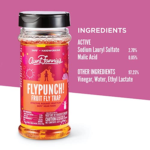 Aunt Fannie's FlyPunch Fruit Fly Trap - Plant-Based, Safe for Food & Pets - 2 Pack