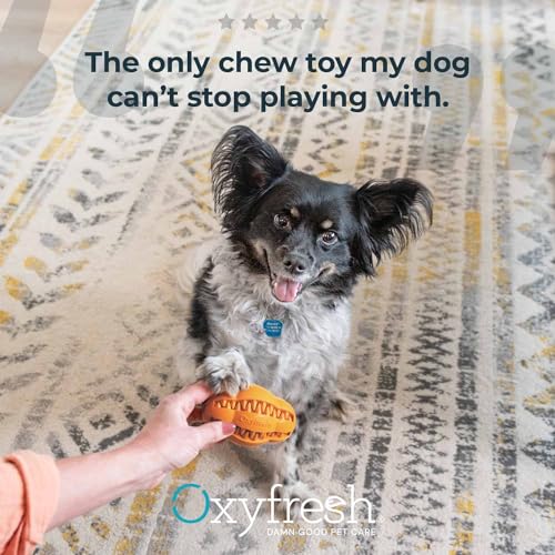 Oxyfresh Dog Dental Toy - Durable Rubber Chew for Teeth Cleaning & Fresh Breath - 5in