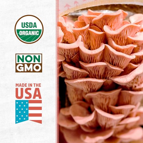 Back to the Roots Mushroom Grow Kit - Organic, Non-GMO, Harvest in 10 Days - 3-Pack