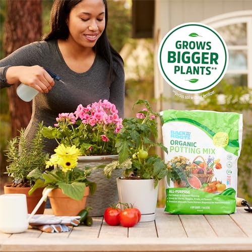 Back to the Roots Organic Potting Mix - Nutrient-Rich Soil for Herbs & Veggies - 6 Quarts