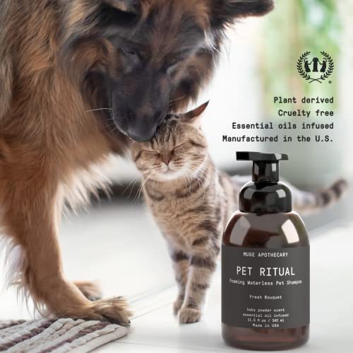 Muse Apothecary Dog Shampoo - Deep Cleansing Foam, Essential Oils & Oatmeal + Mango - 11.5oz