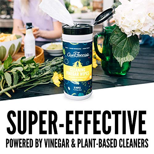 Aunt Fannie's Household Cleaner Bundle - Non-Toxic Vinegar Spray & Wipes, Lemon Scent - 35 Wipes