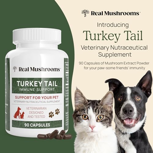 Real Mushrooms Turkey Tail Dog Supplements - Immune & Gut Health, Vet-Approved - 90 Capsules