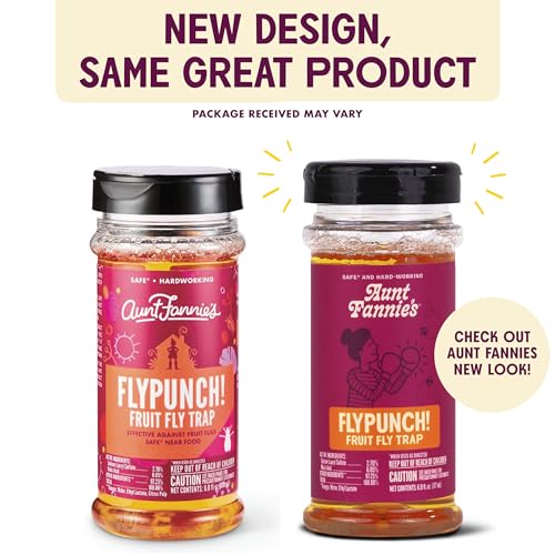 Aunt Fannie's FlyPunch Fruit Fly Trap - Plant-Based, Safe for Food & Pets - 2 Pack