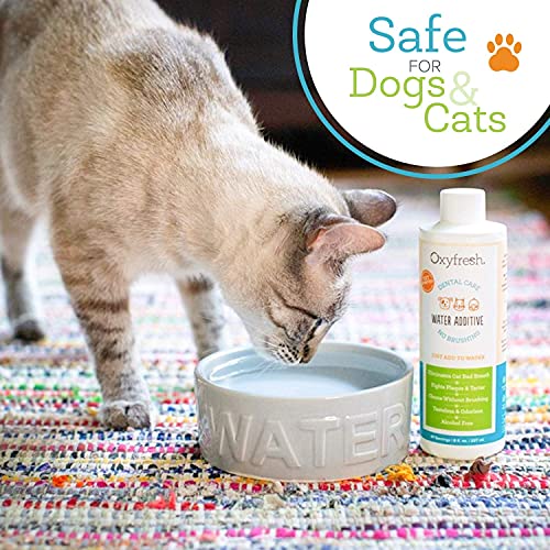 Oxyfresh Pet Dental Care Solution - Eliminates Bad Breath, Fights Plaque & Tartar - 16oz
