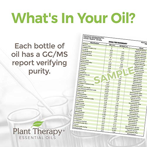 Plant Therapy Citrus Burst Essential Oil Blend - Uplifting Aroma, 100% Pure - 10 mL