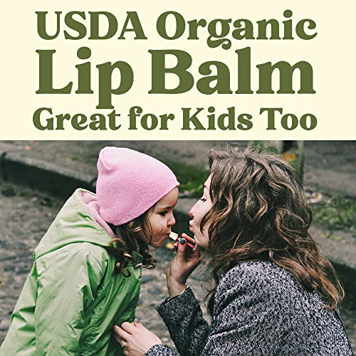 Earth's Daughter USDA Organic Lip Balm 6-Pack - Moisturizing, Non-GMO, Beeswax, Fruit Flavors