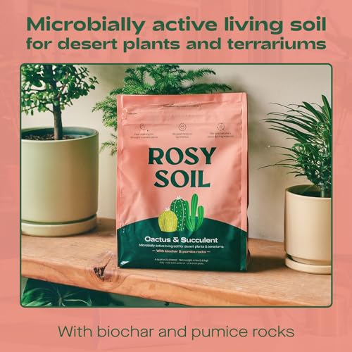 Rosy Soil Succulent & Cactus Potting Mix - Promotes Healthy Root Growth, 8 Quarts Total