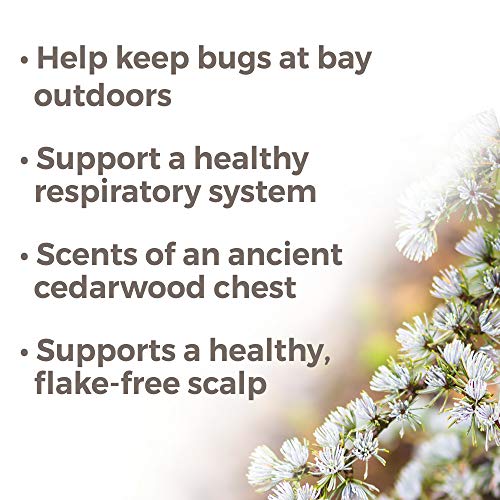 Plant Therapy Atlas Cedarwood Essential Oil - Promotes Calm, Supports Healthy Scalp - 30 mL