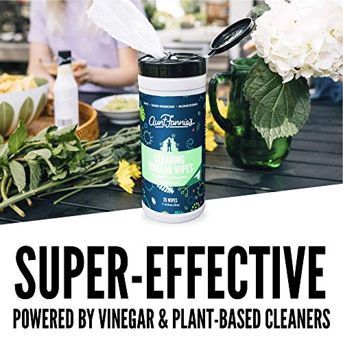 Aunt Fannie's All Purpose Cleaner Bundle - Non-Toxic, Eucalyptus Scent, Biodegradable Wipes - 35ct