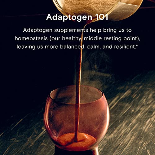 Moon Juice Reishi Mushroom Powder - Boosts Mood & Immunity, Vegan, Non-GMO - 1.3oz