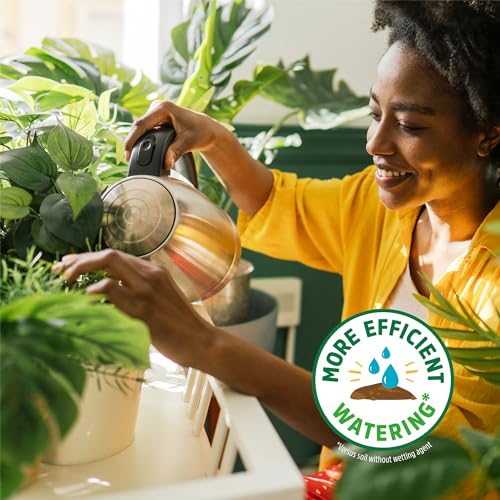 Back to the Roots Organic Potting Mix - Nutrient-Rich Soil for Herbs & Veggies - 6 Quarts