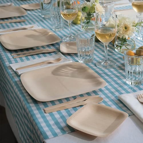 Bambu Disposable Bamboo Square Plates - Organic, Biodegradable, Heavy Duty, 11" - Pack of 25