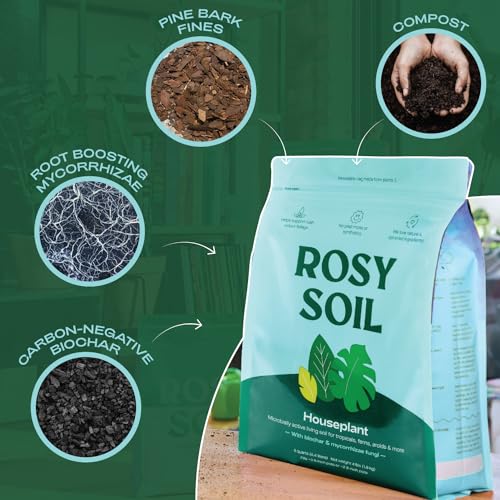 Rosy Soil Indoor Potting Soil - Boosts Plant Growth, Peat-Free, Biochar-Enriched - 4qt